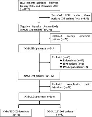 Interstitial Lung Disease in Dermatomyositis Without Myositis-Specific and Myositis-Associated Autoantibodies: Study of a Series of 72 Patients From a Single Cohort